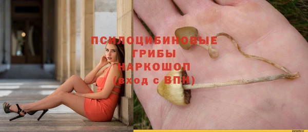 гидра Алексин