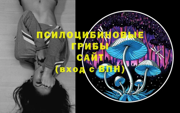 трава Алзамай
