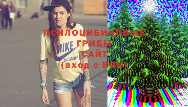 трава Алзамай
