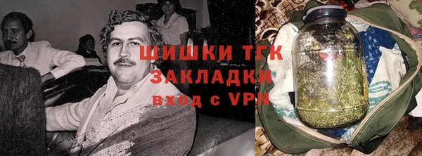гидра Алексин